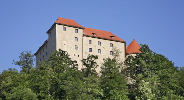 Private Tour to the Rajhenburg Castle & Chocolate Tour From Ljubljana ...