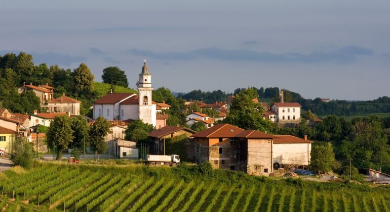 private-tour-wine-hills-of-goriska-brda-from-bled-es-1