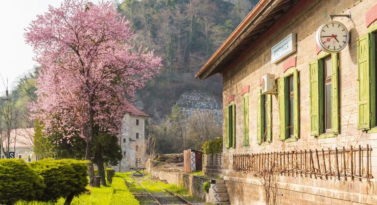 private-tour-to-castle-rajhenburg-and-chocolate-tour-from-bled-en-1