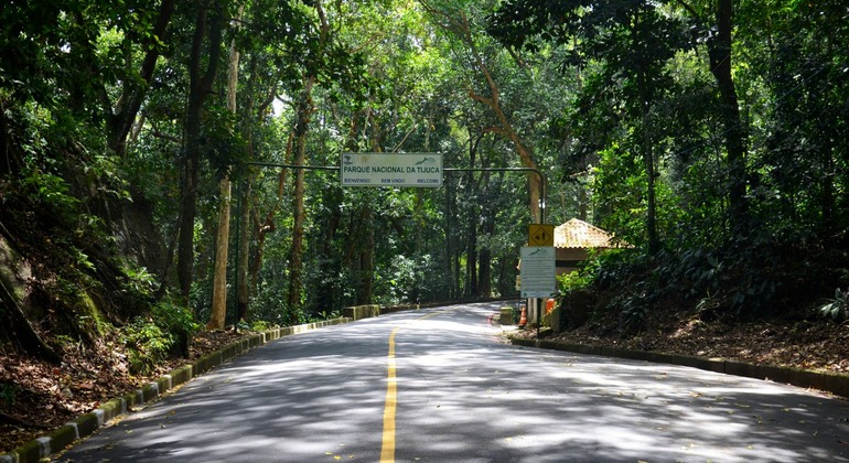 christ-redeemer-tijuca-national-forest-and-city-tour-en-7