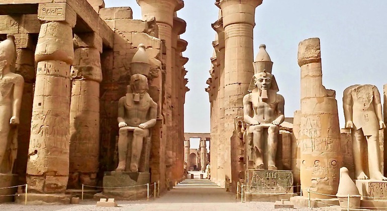 Excursão de dia inteiro a Luxor: Bancos Oeste e Leste com almoço