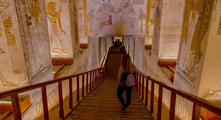 Excursão de meio dia ao Vale do Rei, Templo de Hatshepsut, Colossos de Memnon
