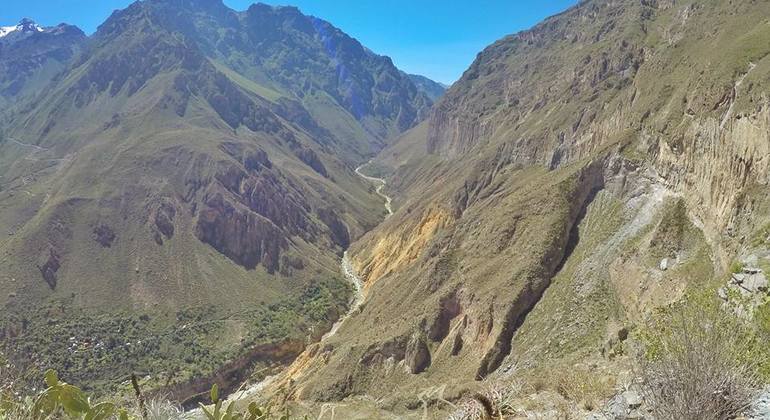 Day Trip to Colca Canyon from Arequipa