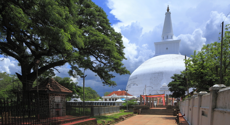 Tour en bicicleta por la ciudad antigua de Anuradhapura