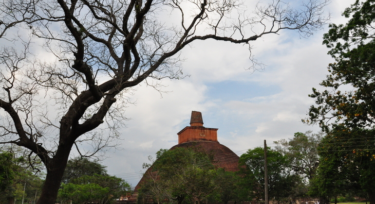 the-ancient-city-of-anuradhapura-cycling-tour-en-6