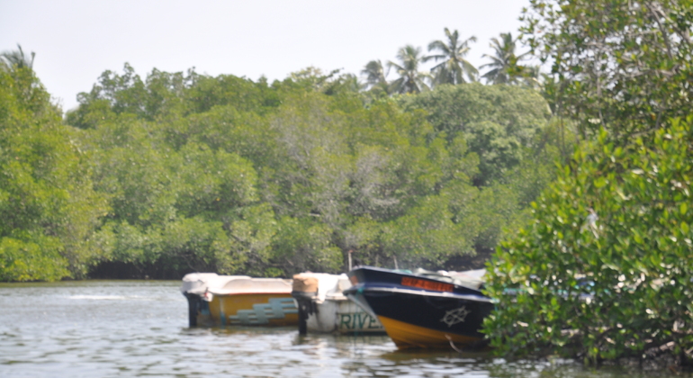 Safari en barco por el río Madu Ganga