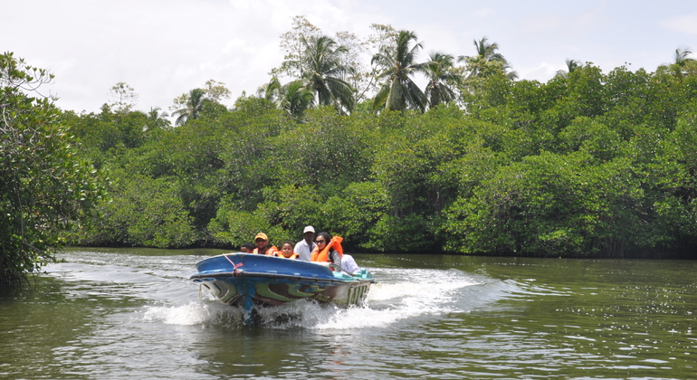 madu-ganga-boat-safari-es-2