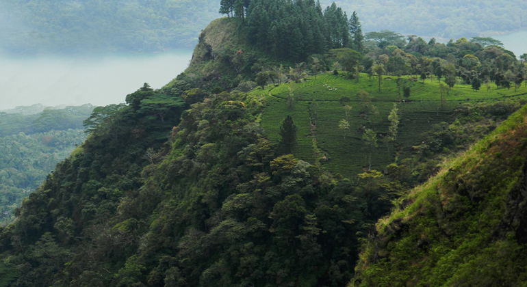 trekking-to-peacock-hill-en-7