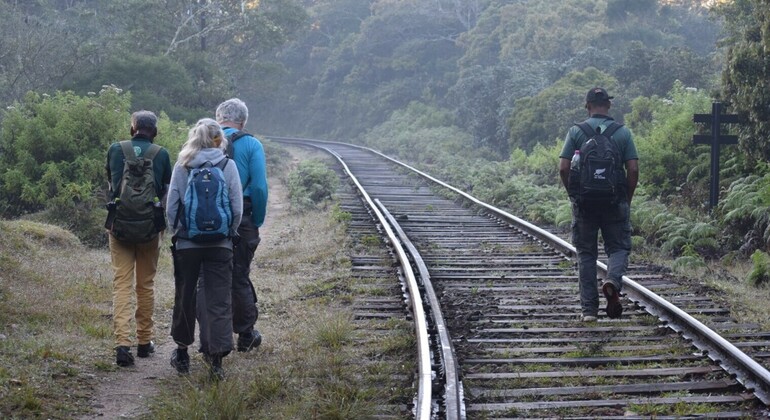 Excursión privada y guiada en ferrocarril a Horton Plains Borders