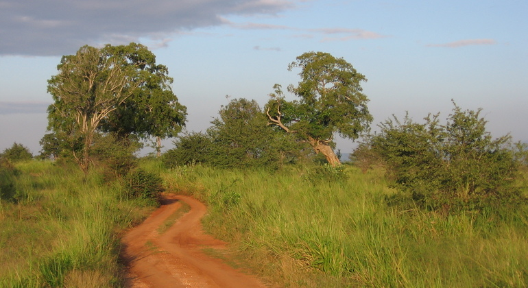 half-day-bundala-national-park-safari-es-8