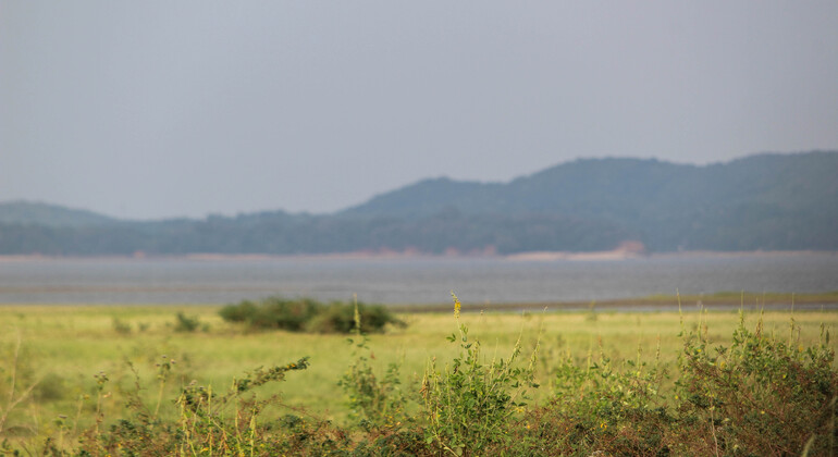 Safari privé à Hurulu Eco Park, Sri Lanka