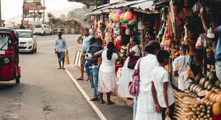 Crucero Los gigantes del oceáno en Trincomalee