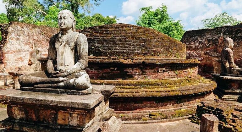Day Trips from Kandy to Polonnaruwa Sri Lanka — #1