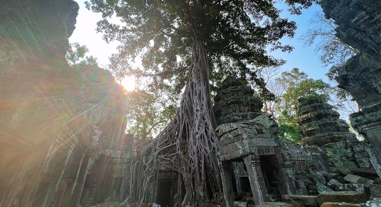 private-angkor-one-day-tour-en-8