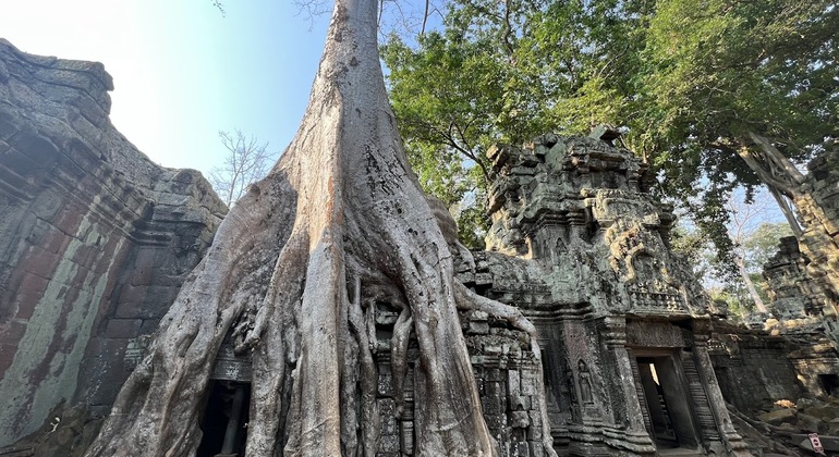 private-angkor-one-day-tour-en-9