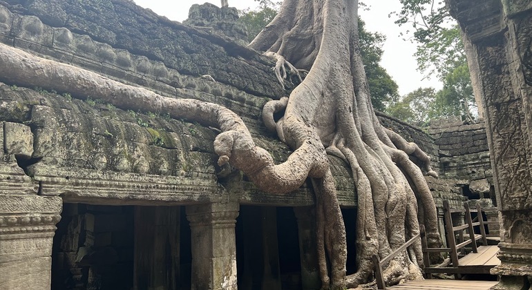 private-angkor-one-day-tour-en-10