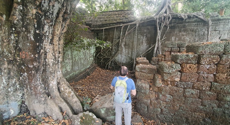 angkor-complex-with-main-temples-private-tour-guide-driver-en-6