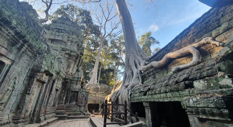 angkor-complex-with-main-temples-private-tour-guide-driver-en-7