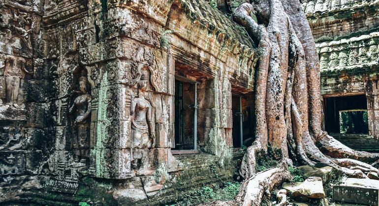 siem-reap-three-days-discovery-temple-tour-guide-and-driver-en-2