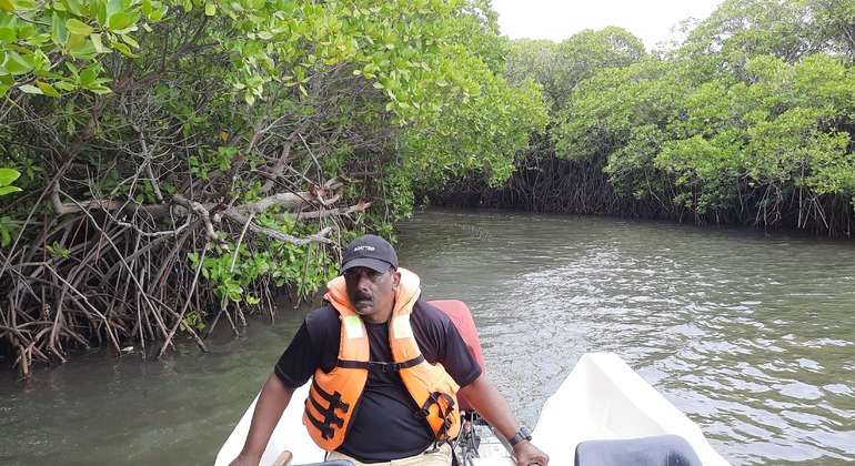 mangrove-point-kalpitiya-private-boat-h-es-2