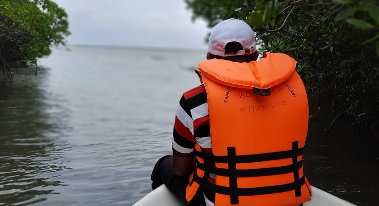 mangrove-point-kalpitiya-private-boat-h-es-1