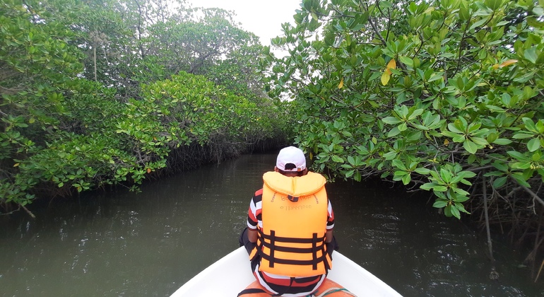 Mangrove Point Kalpitiya - Bote Privado