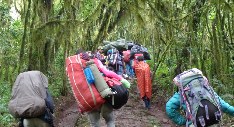 mount-kilimanjaro--day-hike-en-1