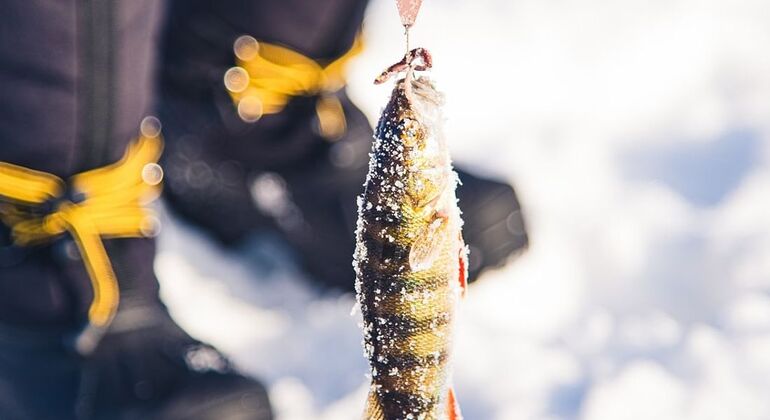 Excursão de pesca no gelo com churrasco na fogueira em Rovaniemi