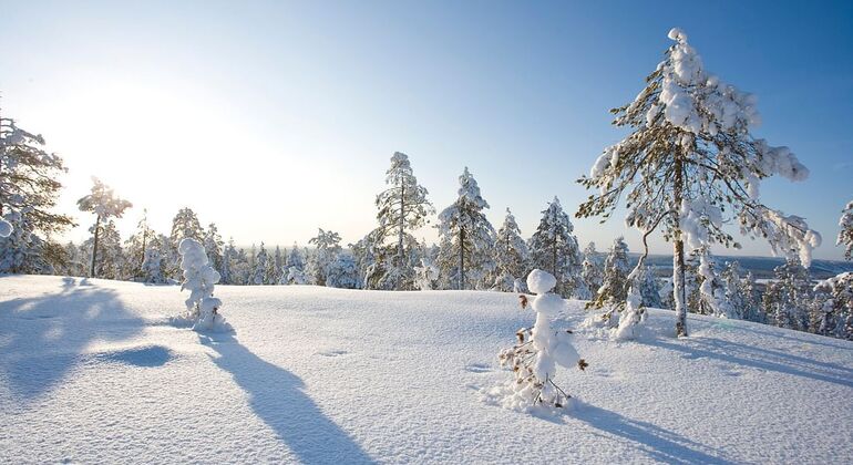 ice-fishing-excursion-with-campfire-bbq-in-rovaniemi-es-6