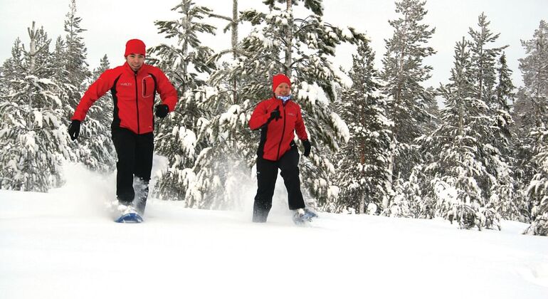 Trekking con Raquetas de Nieve con Barbacoa de Fogata de Rovaniemi