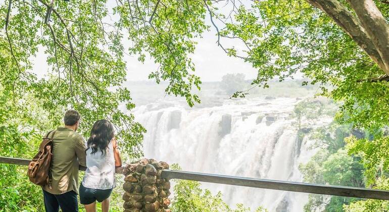 Guided Tour of Victoria Falls