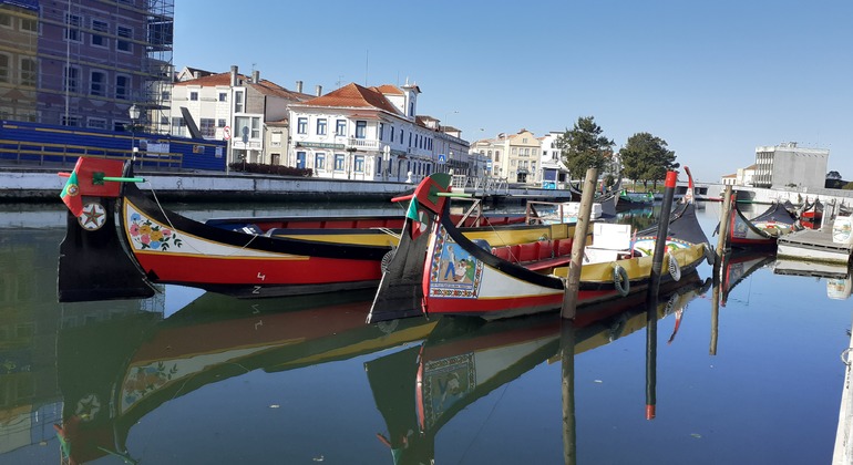 Panoramic Moliceiro Boat in Aveiro Provided by aveirocentral.com