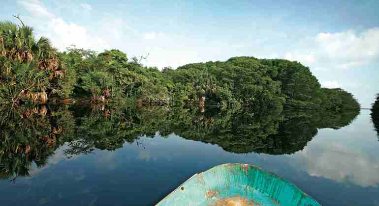 Excursión por la Costa Norte y Experiencia de Vida Salvaje