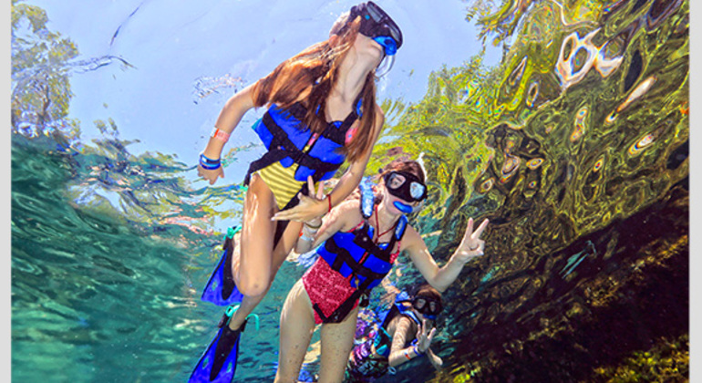 Premium Family Snorkeling Experience