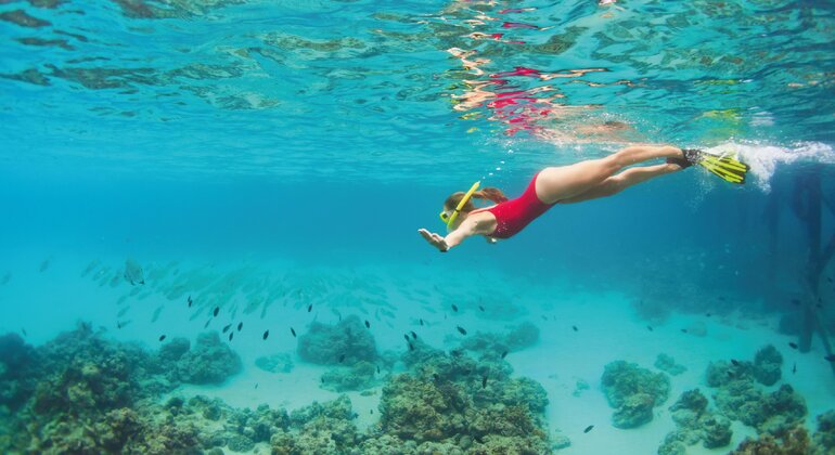 premium-family-snorkeling-experience-es-3