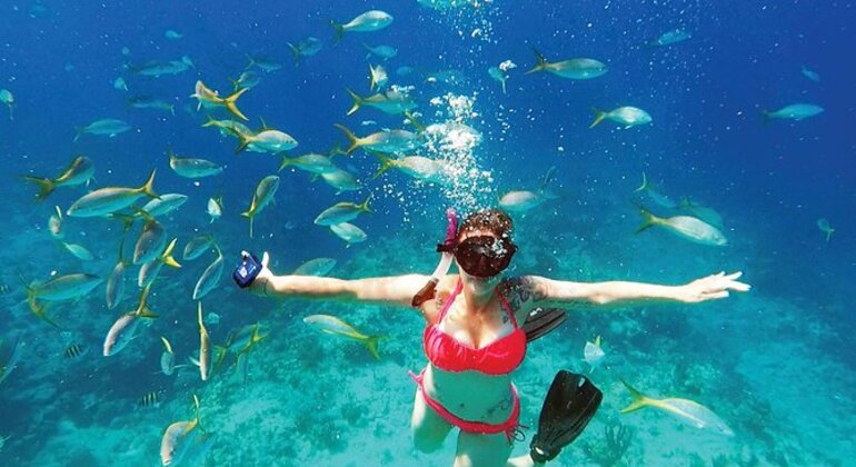 premium-family-snorkeling-experience-es-4