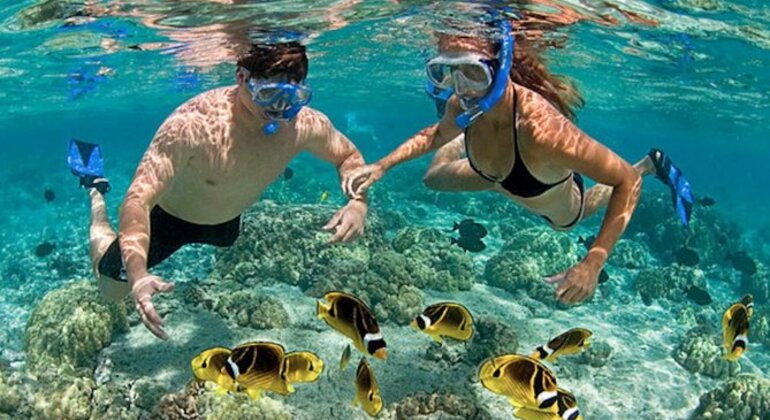 premium-family-snorkeling-experience-es-6