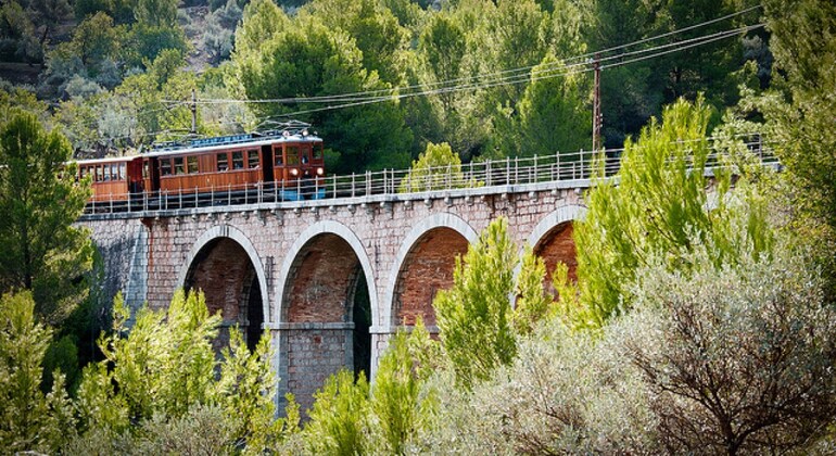 Excursion with El Tren De Soller + Lluc + Cap De Formentor