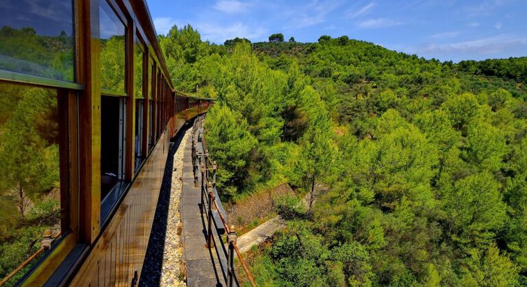 excursion-tren-soller-lluc-cabo-formentor-en-3