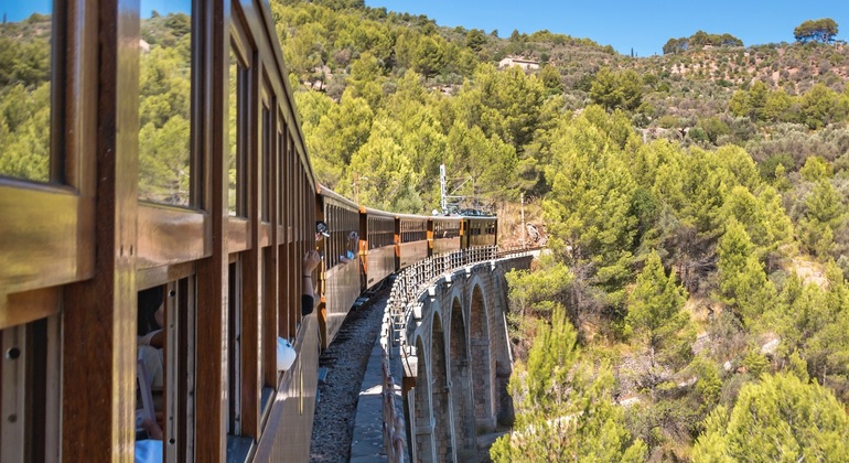 excursion-tren-soller-lluc-cabo-formentor-es-6