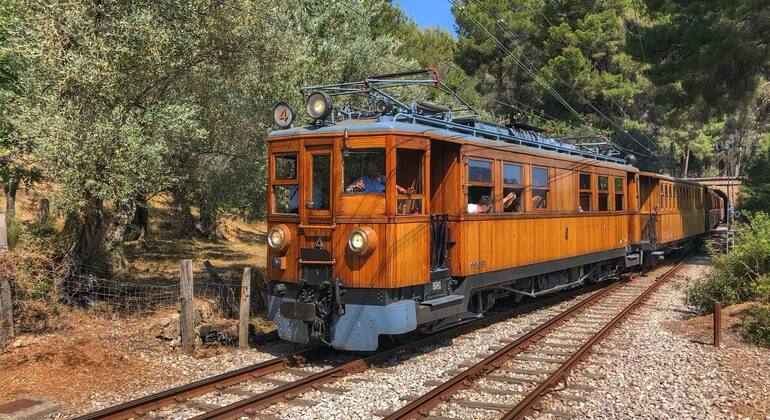 excursion-tren-soller-lluc-cabo-formentor-en-7