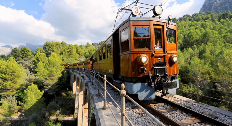 excursion-tren-soller-lluc-cabo-formentor-en-8