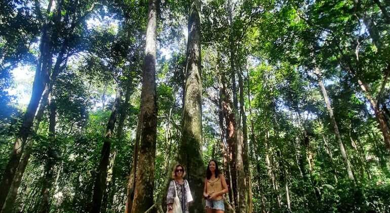 tijuca-forest-jeep-adventure-en-3