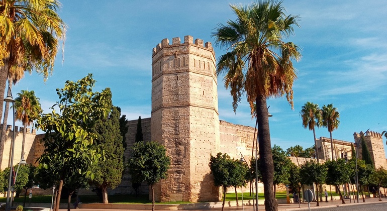 Visita histórica gratuita del Jerez islámico a la Ciudad de las Bodegas