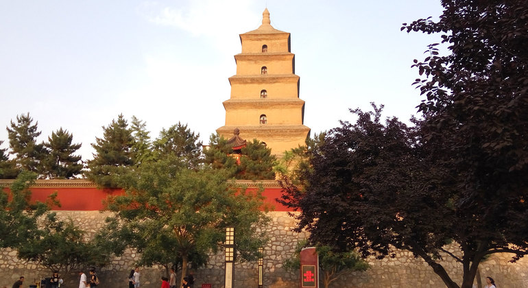 the-history-museum-and-big-wild-goose-pagoda-half-day-private-tour-en-1