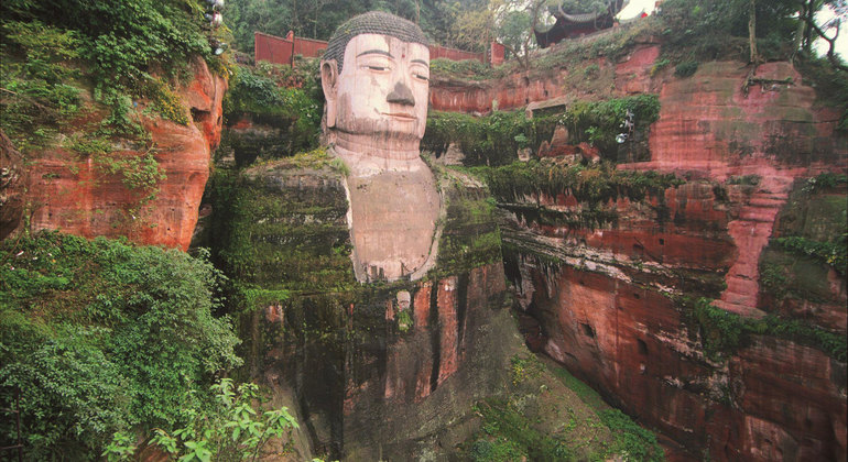 chengdu-panda-base-and-leshan-giant-buddha-tour-es-4