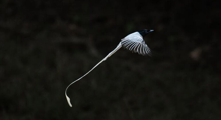 best-safari-in-wilpattu-national-park-en-11