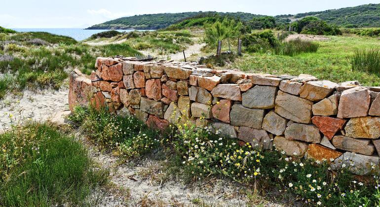 Visita a pie de Olbia