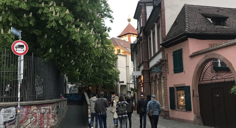 freiburg-walking-tour-history-and-regional-geology-es-6