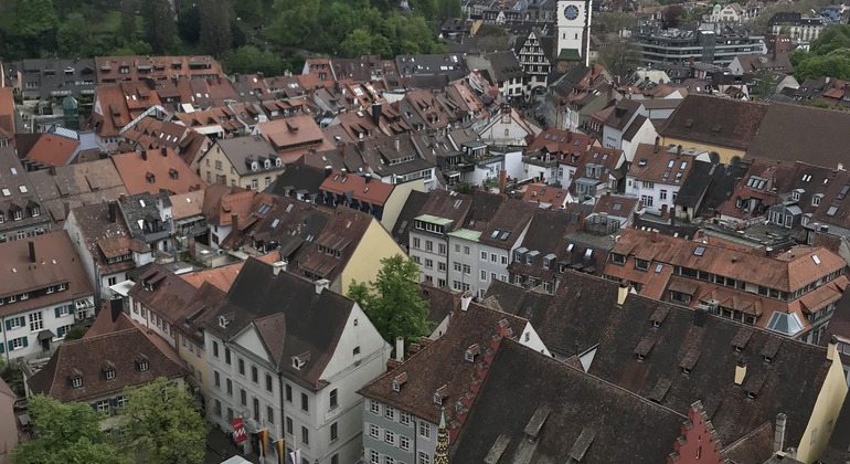 freiburg-walking-tour-history-and-regional-geology-es-8